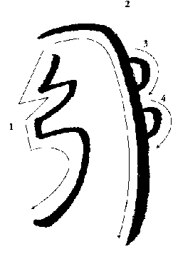 51