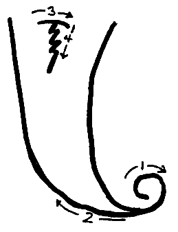 56
