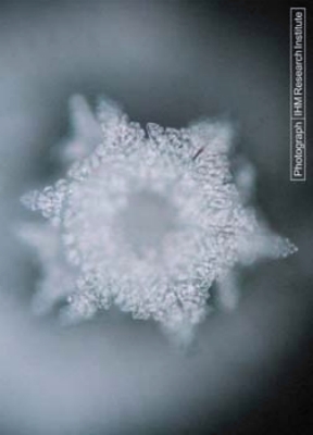 A water crystal of water that was exposed to a word of Peace.